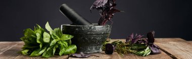 panoramic shot of mortar and pestle with basil on wooden table isolated on black clipart