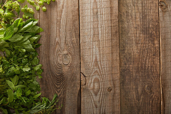 верхний вид деревянной поверхности со свежей петрушкой, хмель, мята, базилик и розмарин
