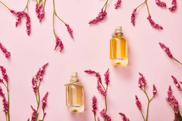 Top View Filled Bottles Wildflowers Pink Background Copy Space — Stock Photo, Image
