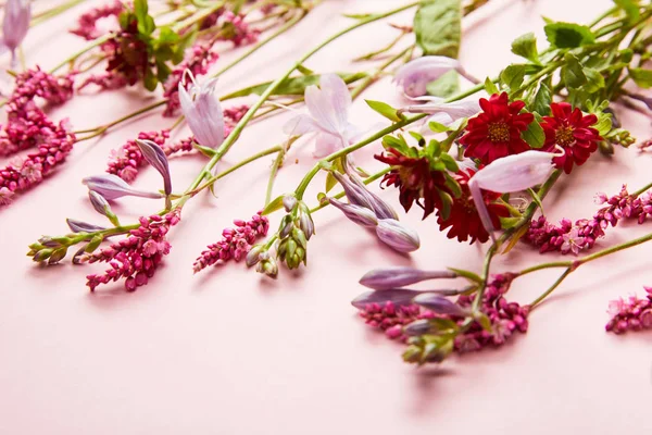 Ramitas Flores Silvestres Frescas Sobre Fondo Rosa —  Fotos de Stock