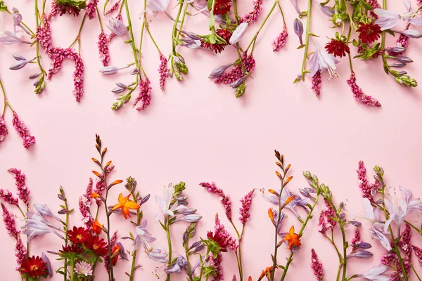 Zweige Von Wildblumen Auf Rosa Hintergrund Mit Kopierraum — Stockfoto