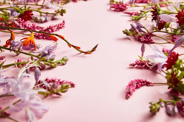 Flores Silvestres Frescas Diversas Sobre Fondo Rosa Con Espacio Copia —  Fotos de Stock