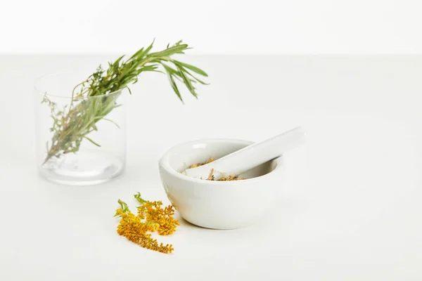 Mortar Pestle Herbal Mix Glass Fresh Plants White Background — Stock Photo, Image