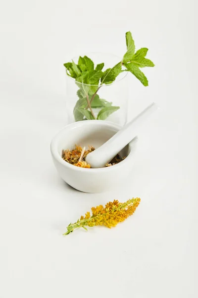 Mortar Pestle Herbal Mix Goldenrod Twig Glass Fresh Mint White — Stock Photo, Image