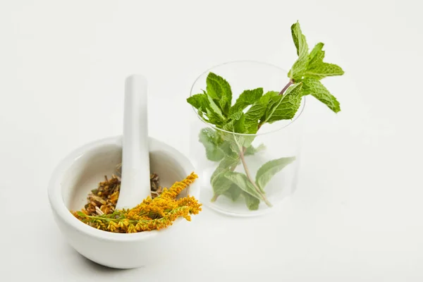 Mortar Pestle Herbal Mix Glass Fresh Mint White Background — Stock Photo, Image