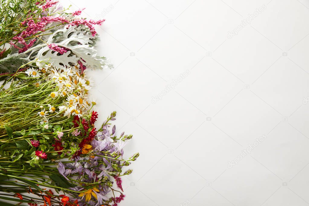 top view of wildflowers and herbs on white background