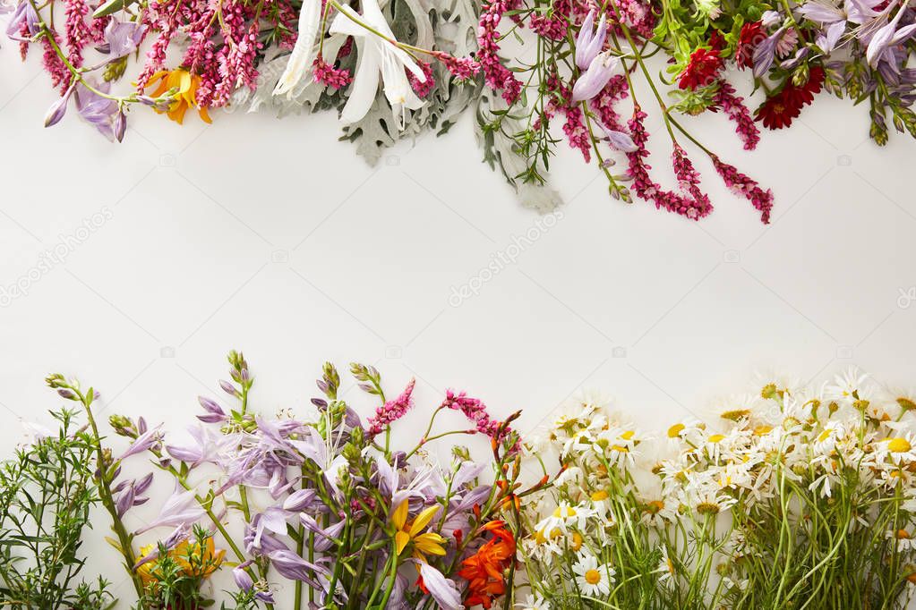 top view of fresh wildflowers on white background