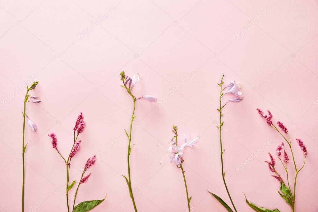 top view of bluebells and wildflowers on pink background with copy space