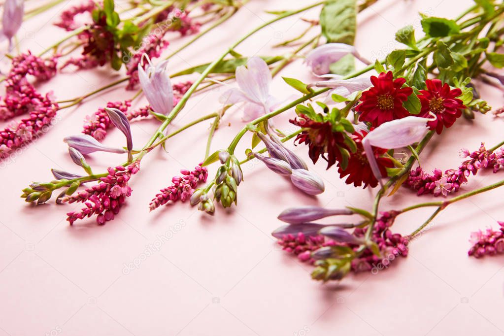 small twigs of fresh wildflowers on pink background