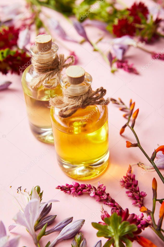 bottles with oil near wildflowers on pink background