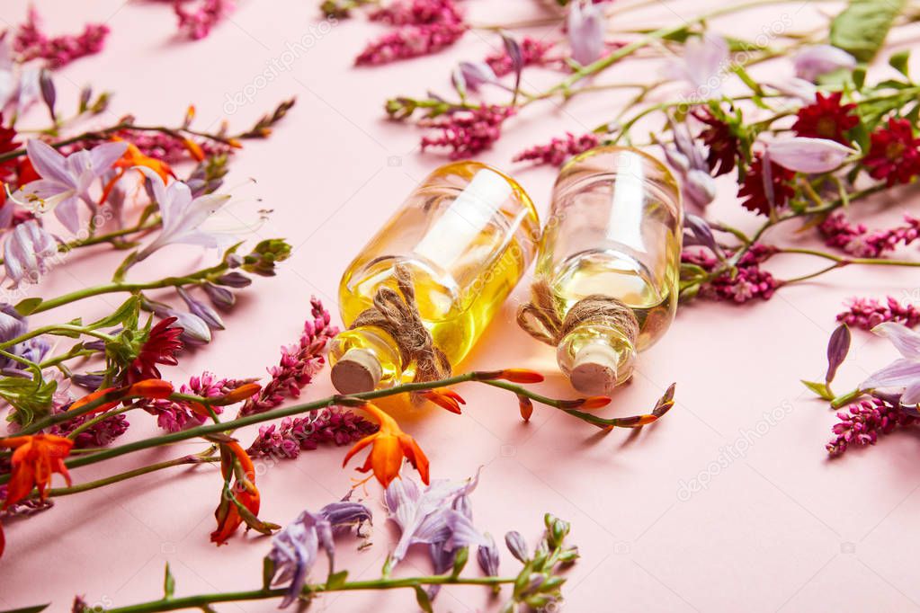 bottles with oil near fresh wildflowers on pink background