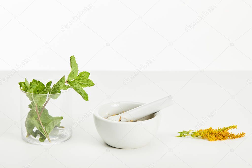 mortar and pestle near goldenrod twig and glass with fresh mint on white background