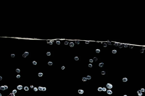 Bleuets Frais Mûrs Profondément Dans Eau Isolé Sur Noir — Photo