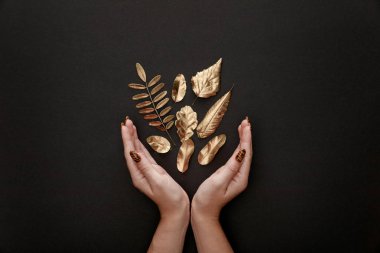 siyah arka plan üzerinde altın akçaağaç yaprakları yakınında kadın ellerin kırpılmış görünümü