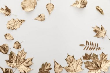 beyaz arka plan üzerinde altın yeşillik üst görünümü