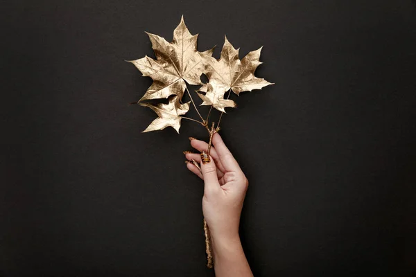 Cropped View Woman Holding Golden Maple Leaves Black Background — Stock Photo, Image