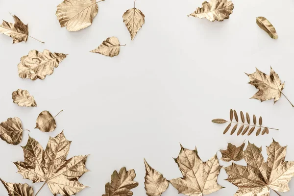 白い背景に黄金の葉のトップビュー — ストック写真