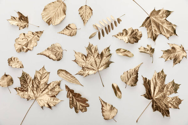 top view of golden leaves on white background