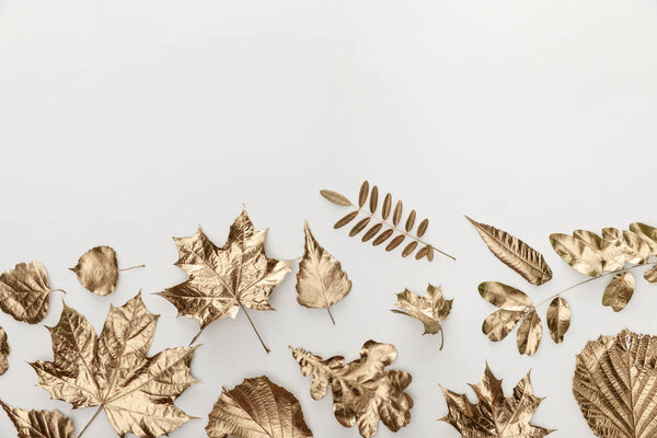 top view of golden painted foliage on white background with copy space