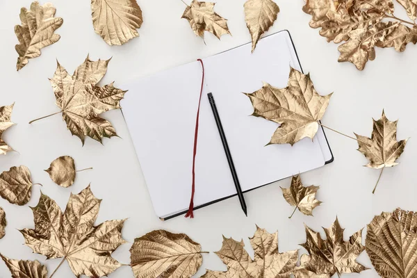 Top View Golden Foliage Blank Notebook Pencil White Background — Stock Photo, Image