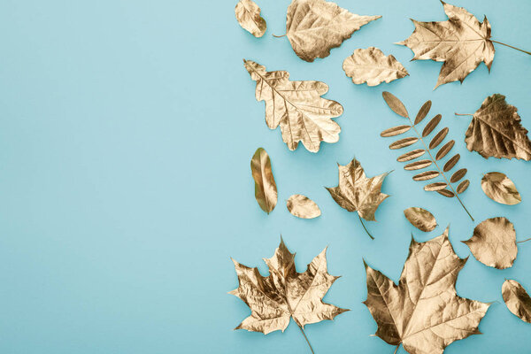 верхний вид осенней золотой листвы на синем фоне с копировальным пространством
