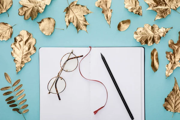 Bovenaanzicht Van Herfst Gouden Gebladerte Buurt Van Lege Notebook Met — Stockfoto