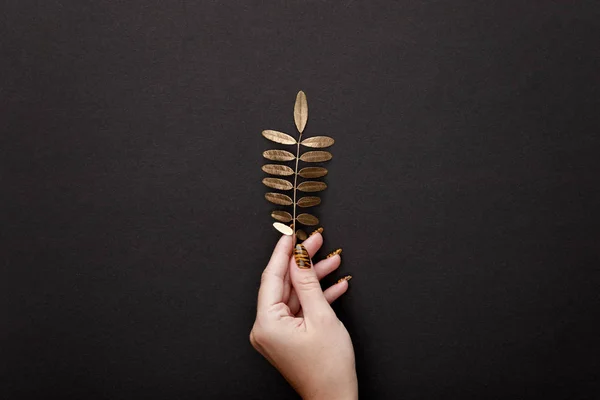 Cropped View Woman Holding Golden Leaf Black Background — Stock Photo, Image