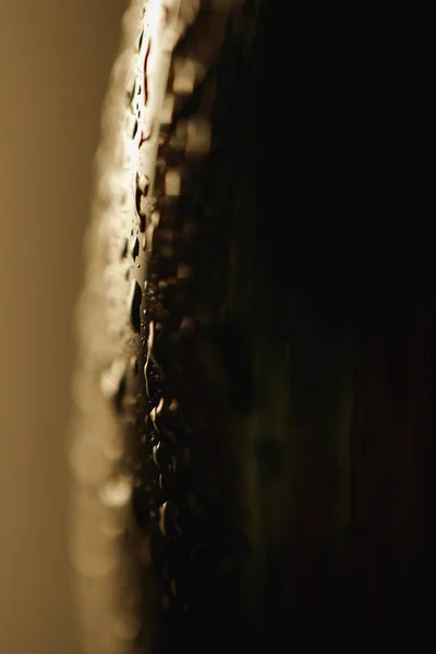 Close View Wet Bottle Beer Drops — Stock Photo, Image