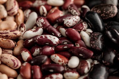 close up view of diverse uncooked beans clipart