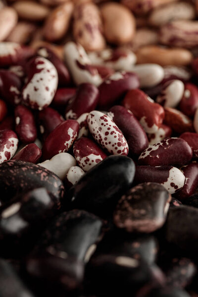 close up view of assorted raw beans