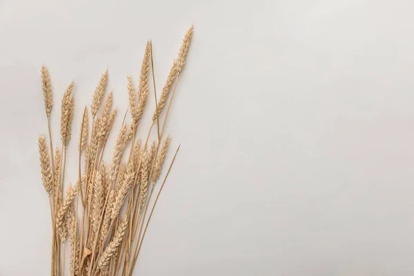 Pohled Pšeničné Špičky Izolované Bílém — Stock fotografie