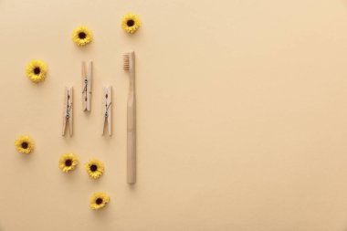 çiçeklerle bej arka planda ahşap clothespins ve diş fırçası üst görünümü