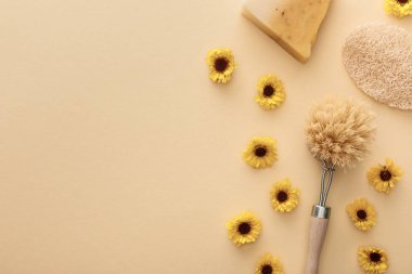 vücut fırçası üst görünümü, loofah ve çiçek ve kopyalama alanı ile bej arka plan üzerinde sabun parçası