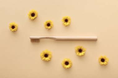 çiçeklerle bej arka plan üzerinde diş fırçası üst görünümü