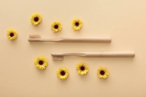 Top View Van Tandenborstels Beige Achtergrond Met Bloemen — Stockfoto