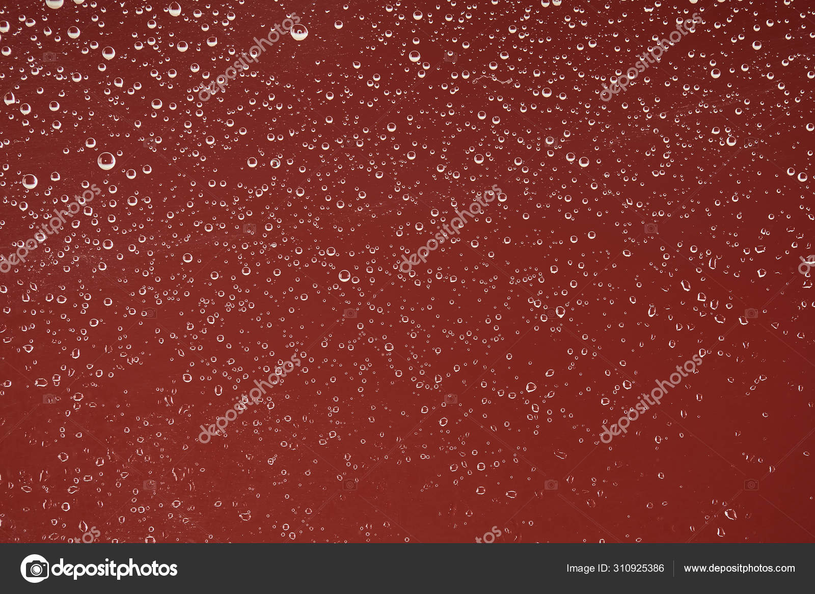Clear Transparent Water Drops Red Background — Stock Photo ...