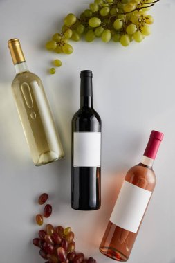 Beyaz arka planda üzümün yanında beyaz, kırmızı ve gül şarabı bulunan şişelerin üst görüntüsü
