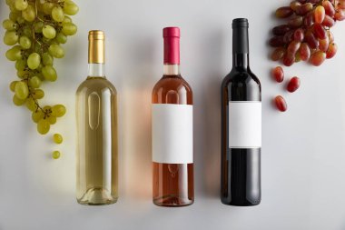 Beyaz arka planda üzümün yanında beyaz, gül ve kırmızı şarap bulunan şişelerin üst görüntüsü