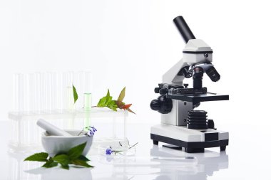Cam test tüpleri, bitkilerin yanında tokmaklı havan topları ve beyaz üzerinde izole edilmiş mikroskop.