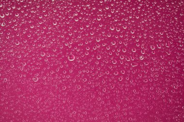 clear transparent water drops on crimson background clipart