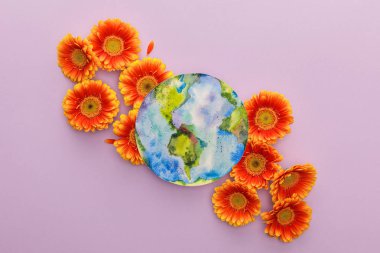 Turuncu gerbera çiçeklerinin üst görüntüsü ve mor arka planda Dünya gezegeni.