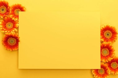 Sarı arka planda sarı kart ve yapraklı turuncu gerbera çiçeklerinin üst görüntüsü.