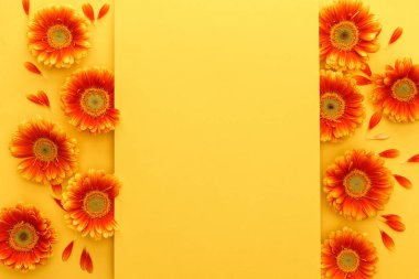 Turuncu gerbera çiçeklerinin üst görüntüsü ve sarı arka planda boş bir kart.