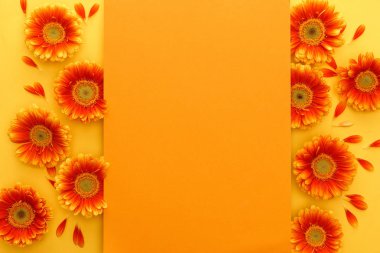 Sarı arka planda turuncu gerbera çiçekleri ve turuncu boş bir kart.