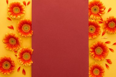 Sarı arka planda turuncu gerbera çiçeklerinin üst görüntüsü ve kırmızı boş kart.