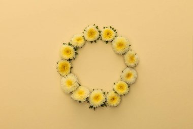 Bej arkaplanda, kopyalama alanı olan sarı asterlerin yuvarlak çerçevesi