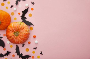 Kabak, yarasa ve örümceklerin üst görünümü pembe arka planda konfeti, Cadılar Bayramı dekorasyonu