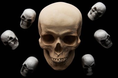 spooky skulls isolated on black, Halloween decoration clipart