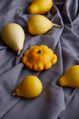 Gri kumaşın üzerinde olgun rengarenk kabak.