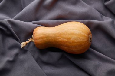 Gri kumaş üzerinde olgun balkabağı manzarası